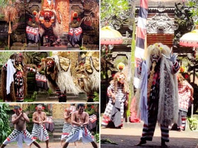 Ubud Cultural Arts & Wildlife Tour