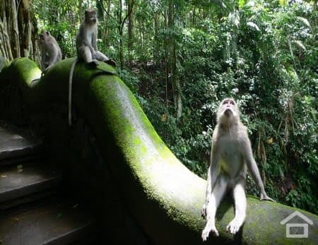 Bedugul Lake Temple & Tanah Lot Sunset Tour